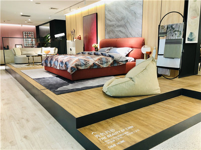 帝标家居“潮店”开业 新店态模式重新定义家居消费体验标准